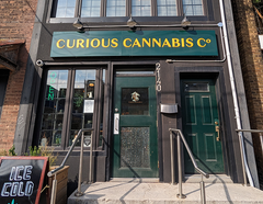 Magasin en vedette : Curious Cannabis Co.