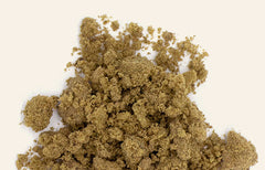 Comment le kief est-il fabriqué ?