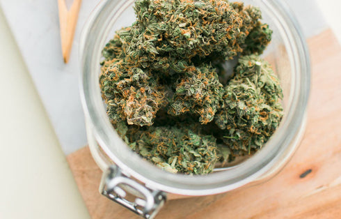 image of jar of cannabis dried flowers