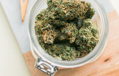 Indica c. Sativa c. Hybrid : Quelle est la différence?