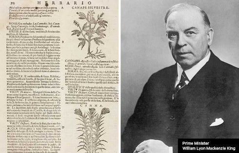 A Brief History of Cannabis, Part 2