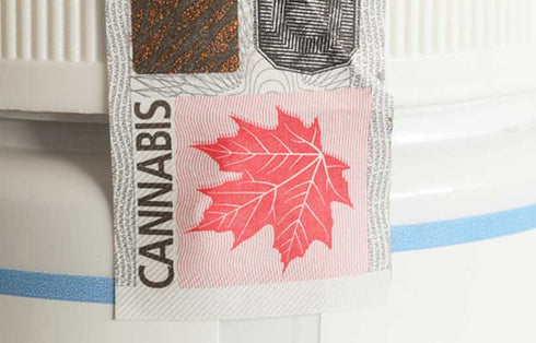 A Brief History of Cannabis, Part 3