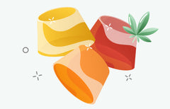 How Cannabis Gummies Are Made