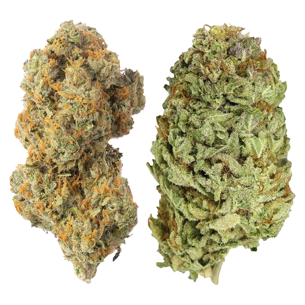 TIE DIE TUESDAY SATIVA - 