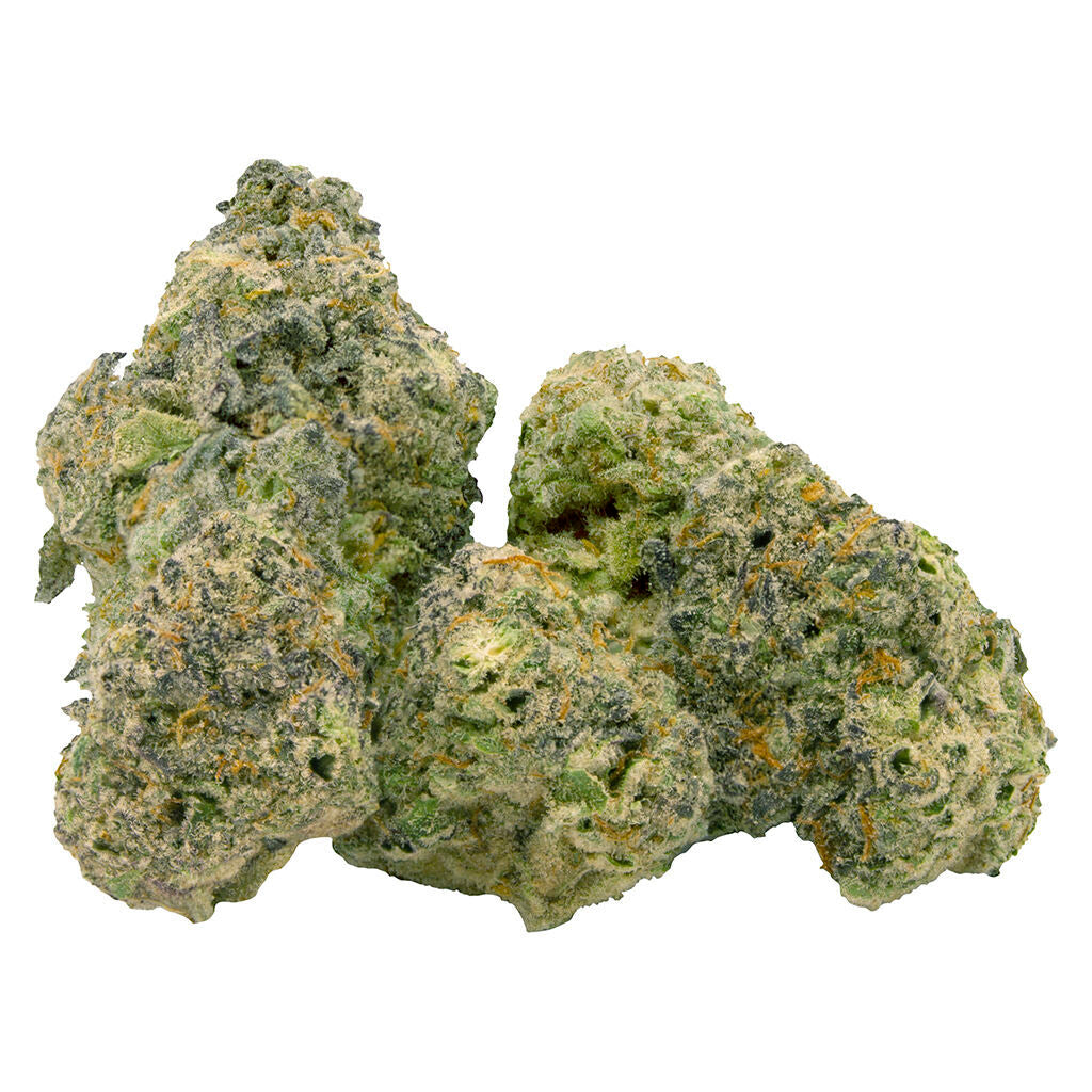 Indica (Hippie Haze 19) - 