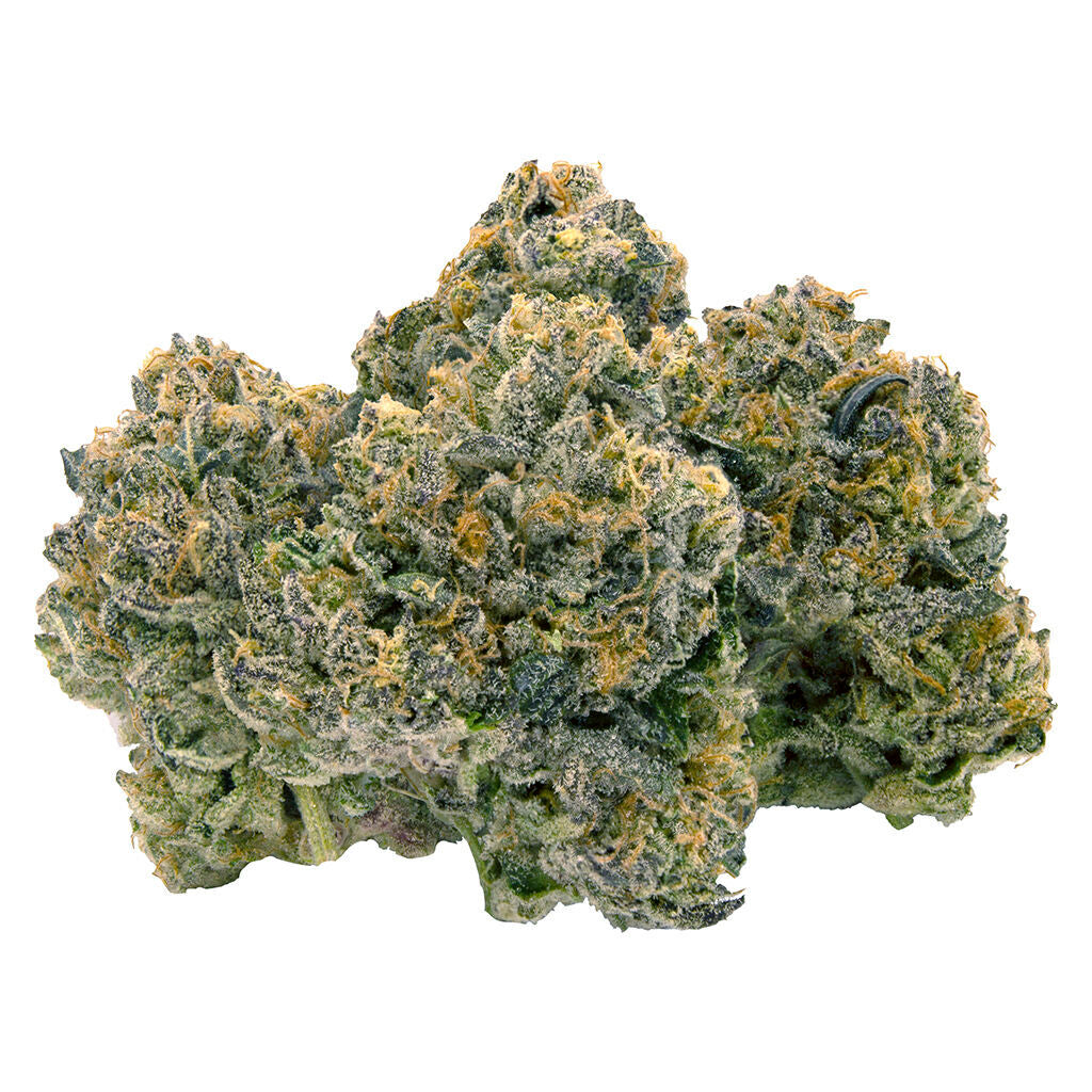 Indica (Pink Goo) - 