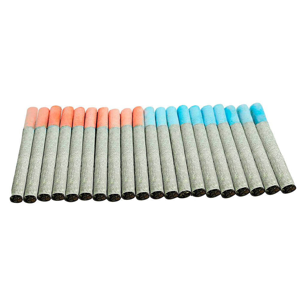 Block Party Pre-Roll - 