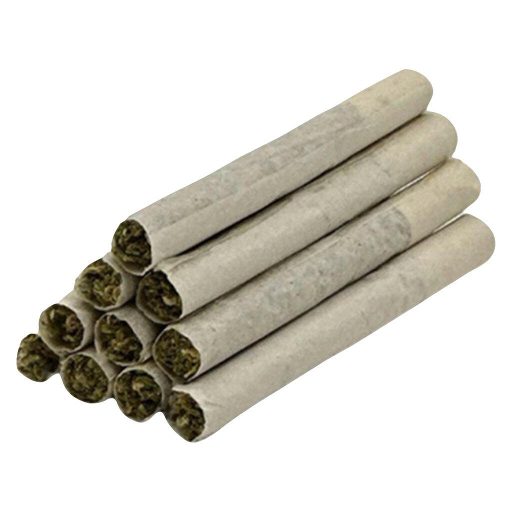 LOW FREQUENCY Pre-Roll - 