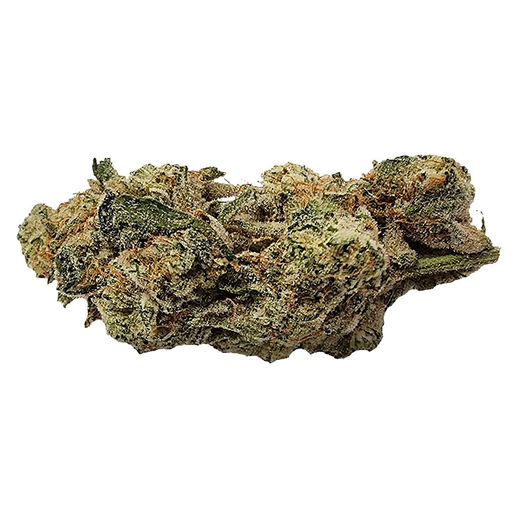 Titanimal