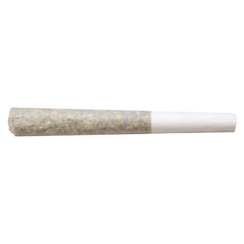 Photo Jealousy X Apples & Bananas Pre-roll