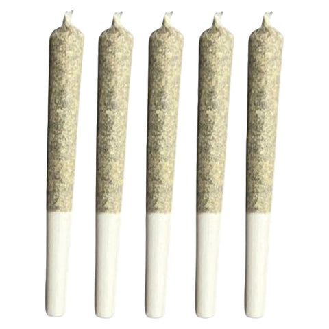 Sleeping With The Stars Pre-Roll Photo
