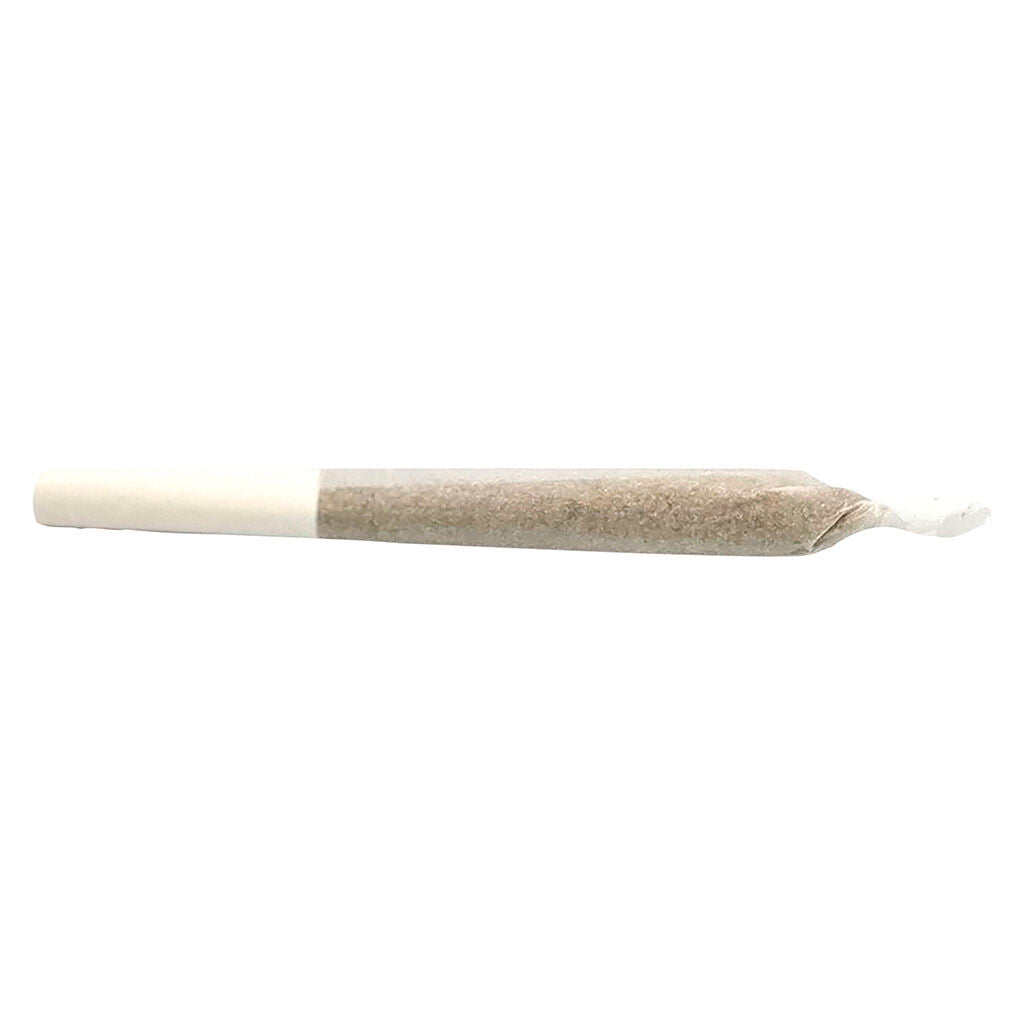 Lemon-Up Pre-Roll