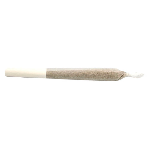 Photo Lemon-Up Pre-Roll