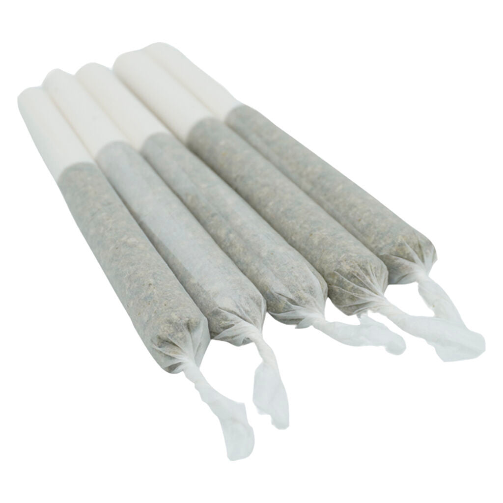 Lemon-Up Pre-Roll