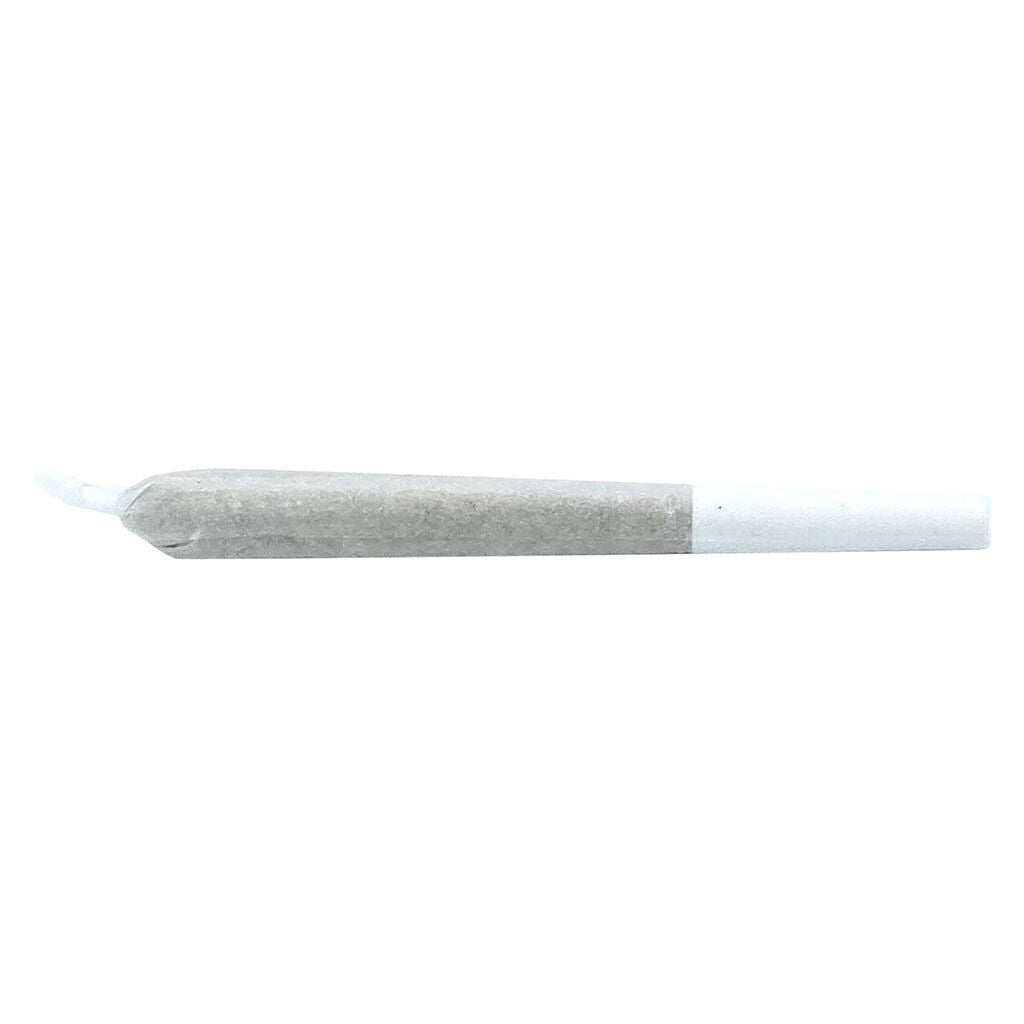 Peggys Puff Hash Infused Pre-Roll