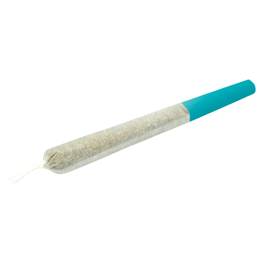 Bluenose Berry 50%+ Hash Diamond Infused Pre-Roll - 
