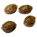 Apple Truffle Breath - Feminized