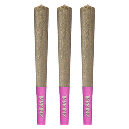 Photo High Potency Infused Pre-Roll 50+