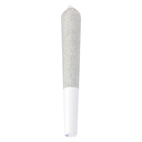 Photo Electric Lettuce Indie Pre-Roll