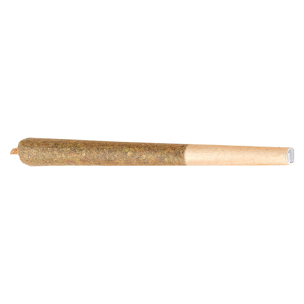 Citroli Pre-Roll