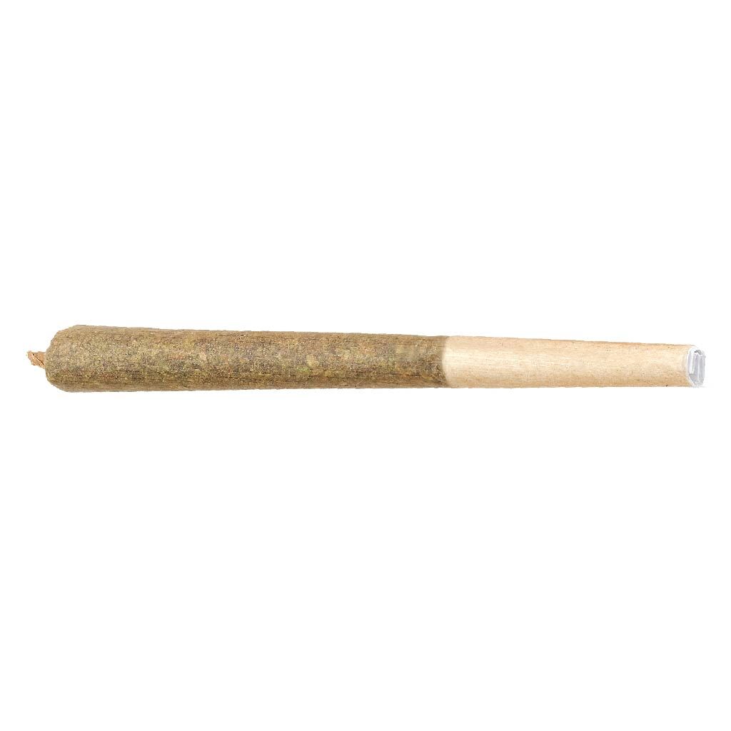 Moby Dick Pre-Roll - 