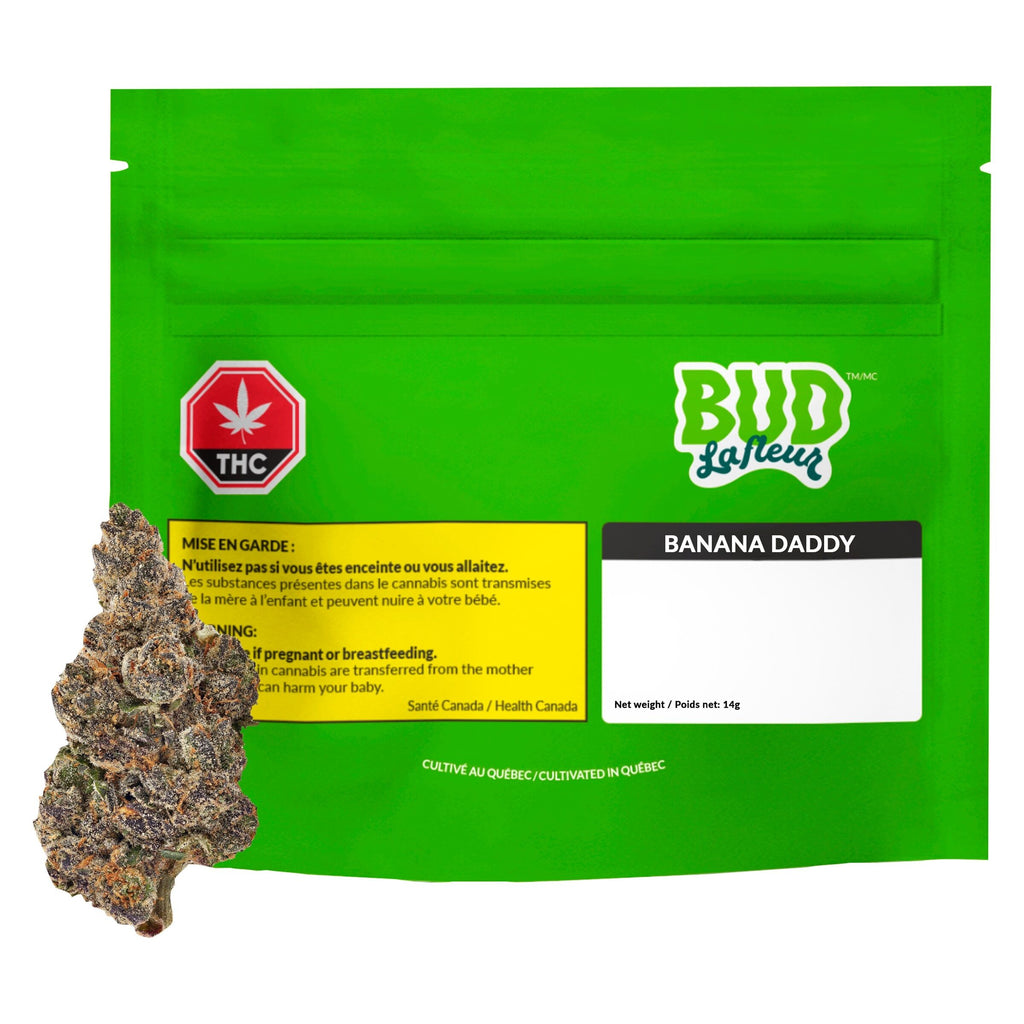 Banana Daddy - 