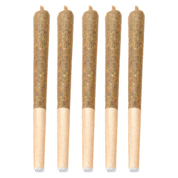 Photo Obi Star Pre-Roll