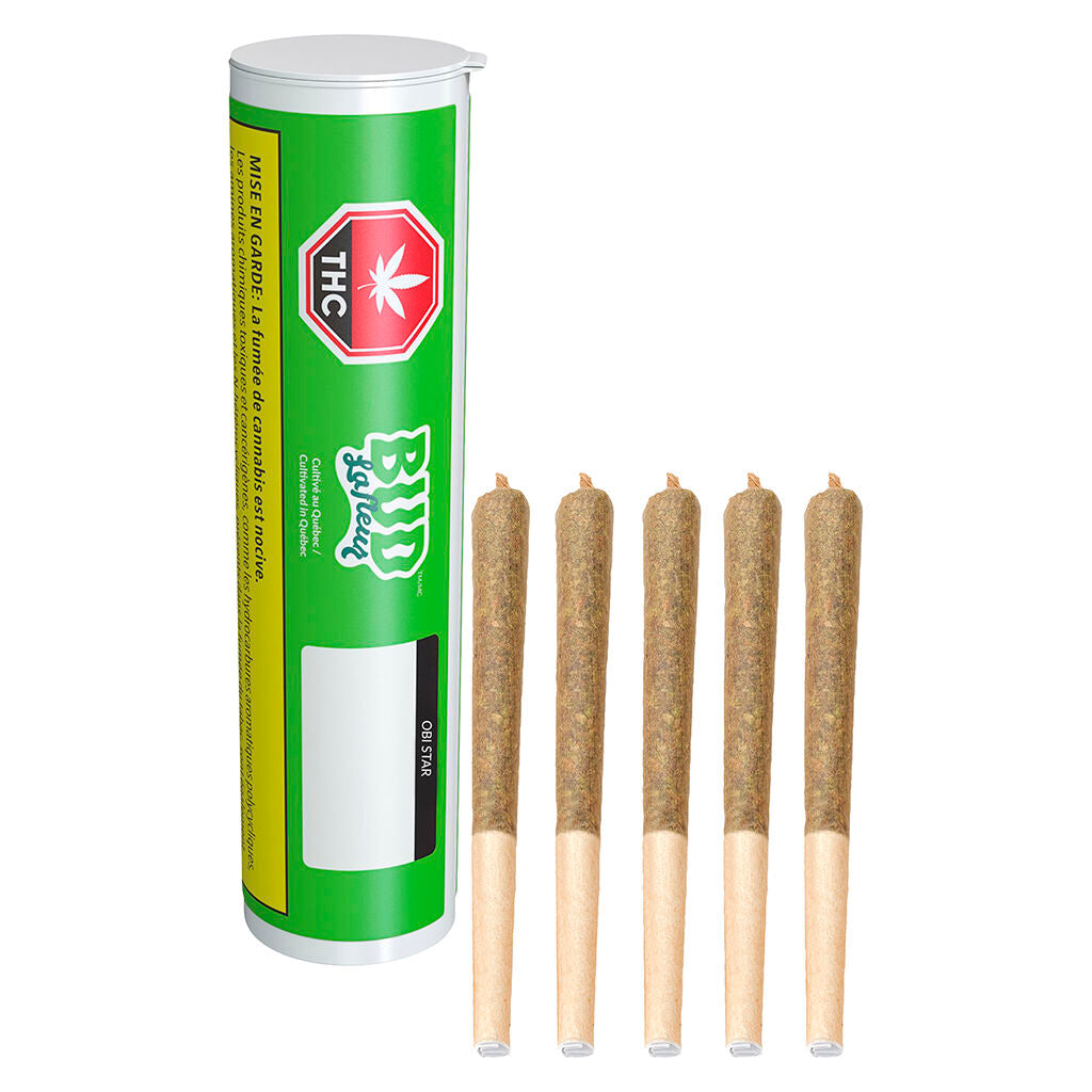 Obi Star Pre-Roll - 