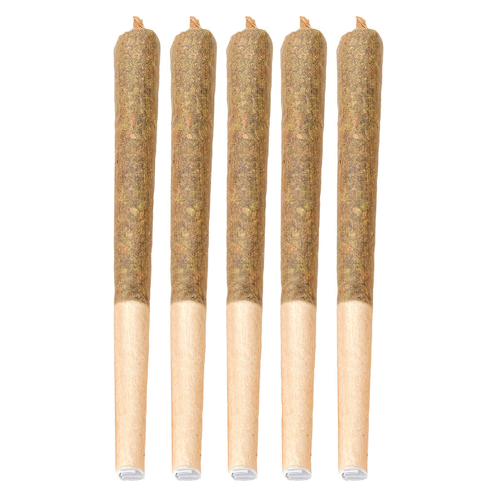 Moby Dick Pre-Roll - 