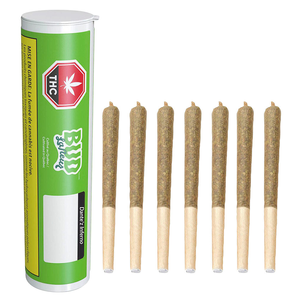 Dante'z Inferno Pre-Roll - 