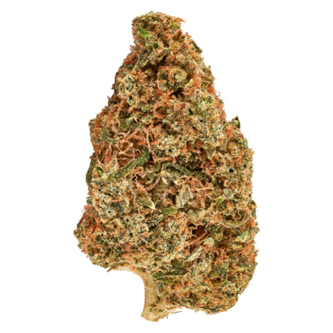 Photo Carnaval Kush