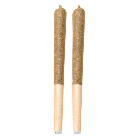 Photo Midnight Ride Pre-Roll