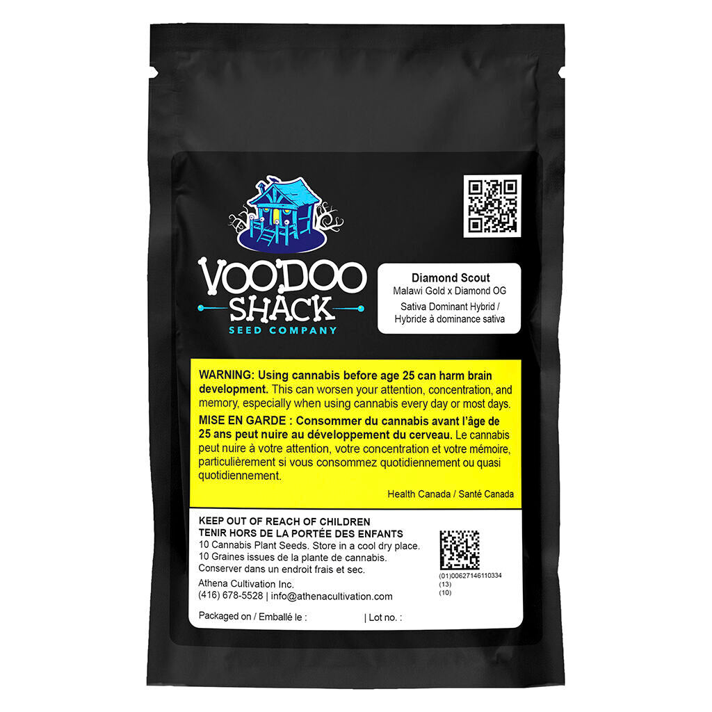 Diamond Scout Regular Seeds