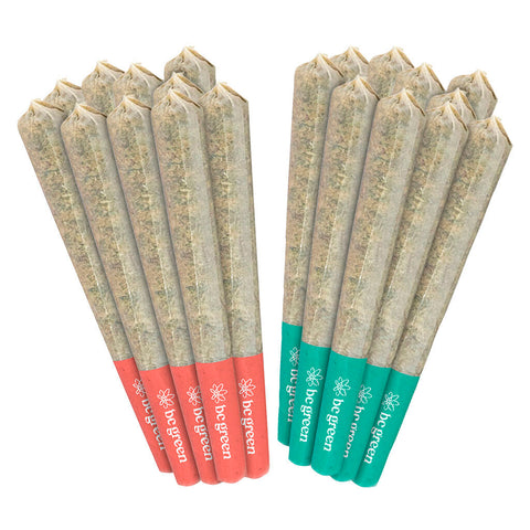 Photo 10+10 Craft Sativa Variety Pack