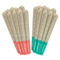 Paquet de variétés 10+10 Craft Sativa