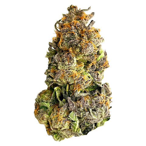 Photo Candyland
