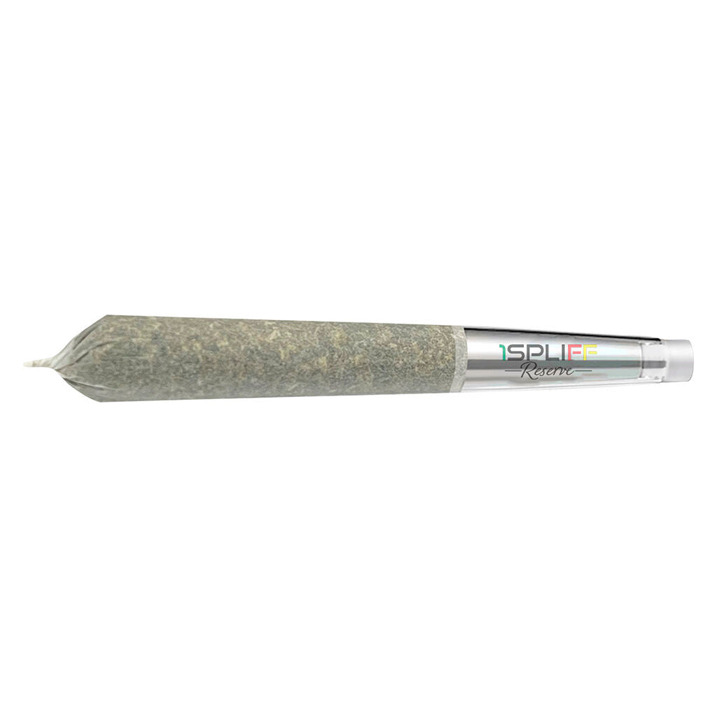 PineappleX Premium Glass Tip Pre-Roll - 