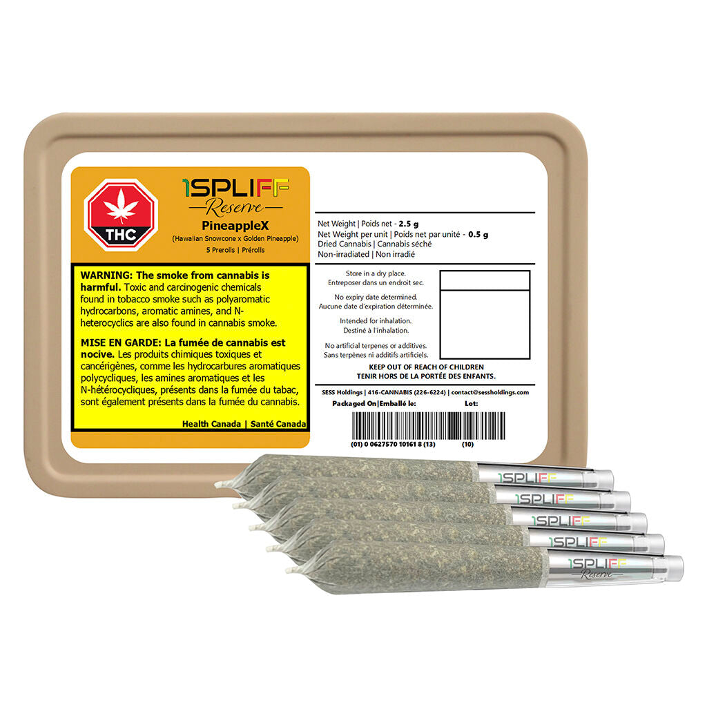 PineappleX Premium Glass Tip Pre-Roll - 