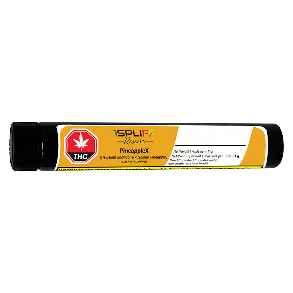 PineappleX Premium Glass Tip Pre-Roll - 