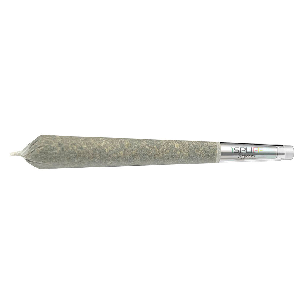 Préroulé à embouts de verre PineappleX Premium