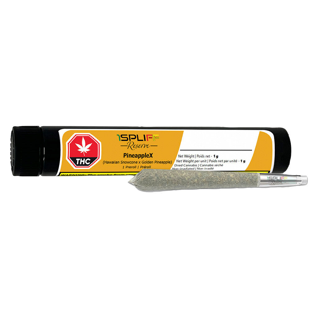 PineappleX Premium Glass Tip Pre-Roll