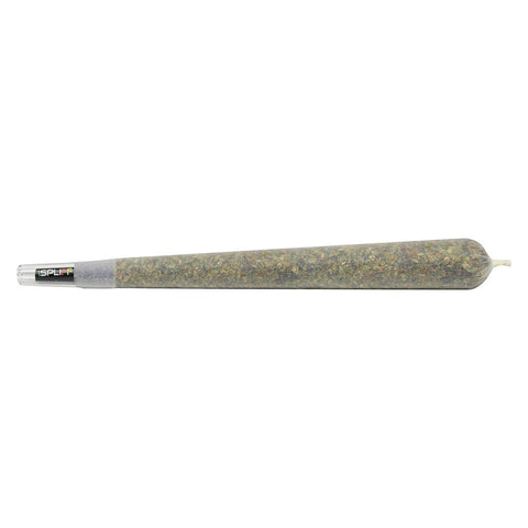 Photo Javelin Premium Glass Tip Pre-Roll