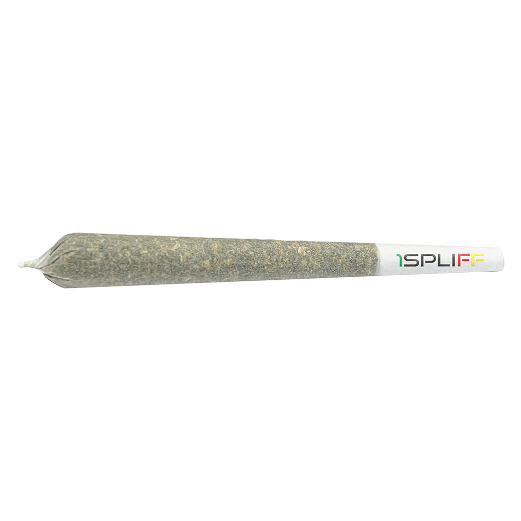 Spliff Caddy Pre-Roll - 