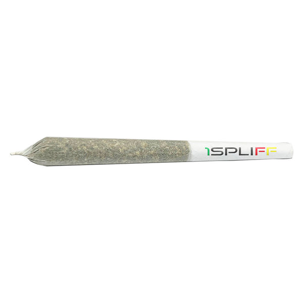 Celestial Mega Pack Pre-Roll