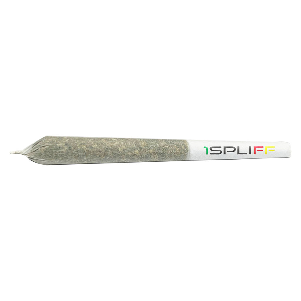 Celestial Mega Pack Pre-Roll - 