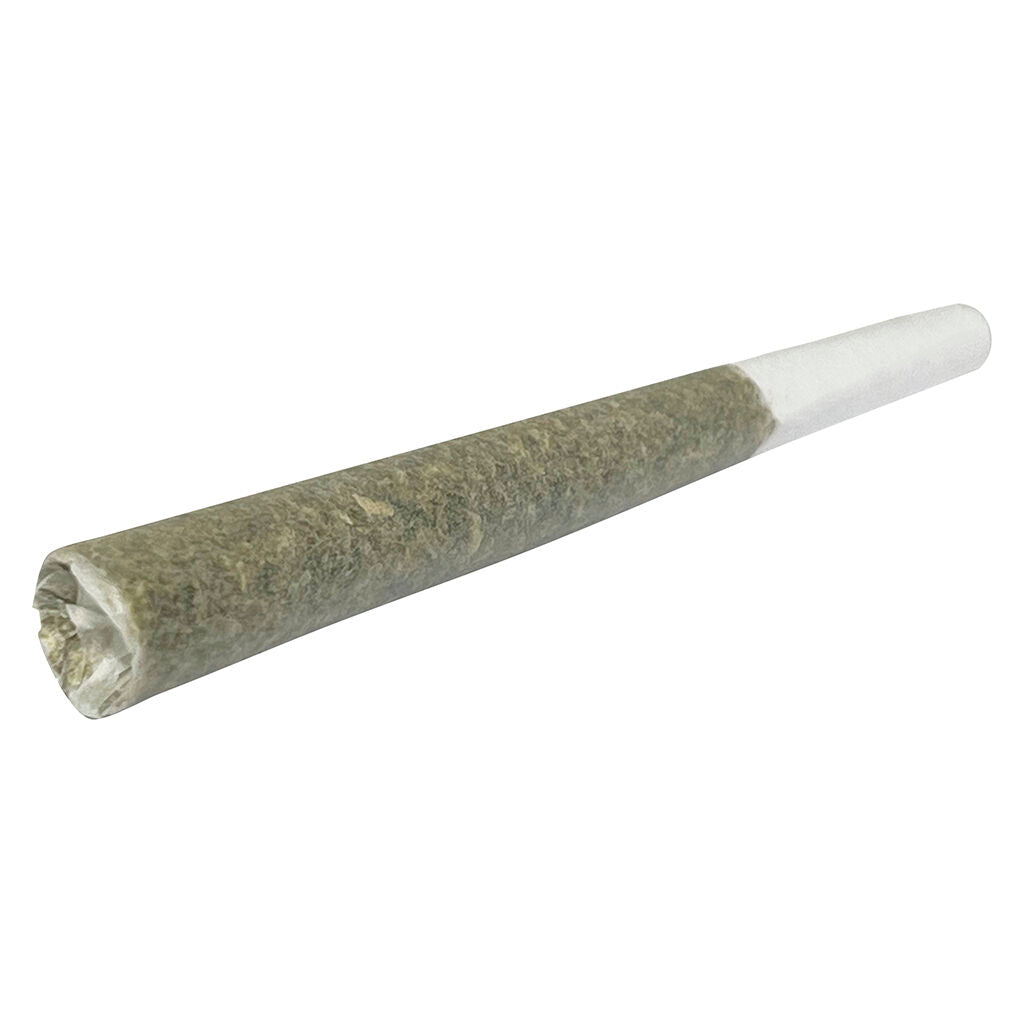 Cannon Pre-Roll - 