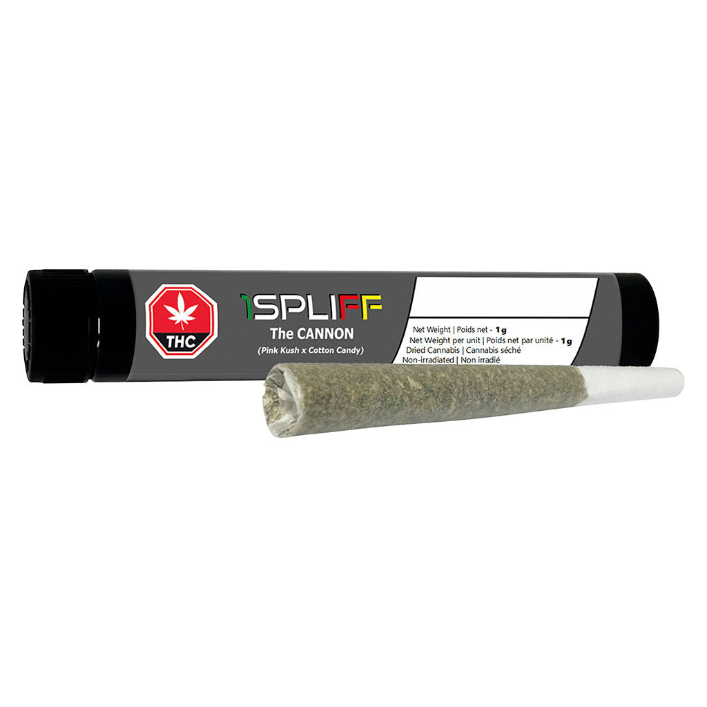 Cannon Pre-Roll - 