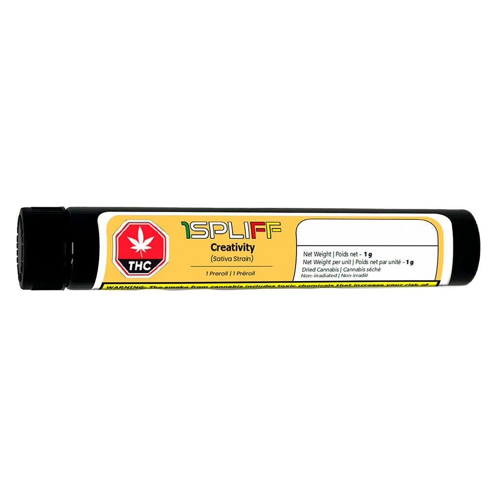 Creativity Pre-Roll - 