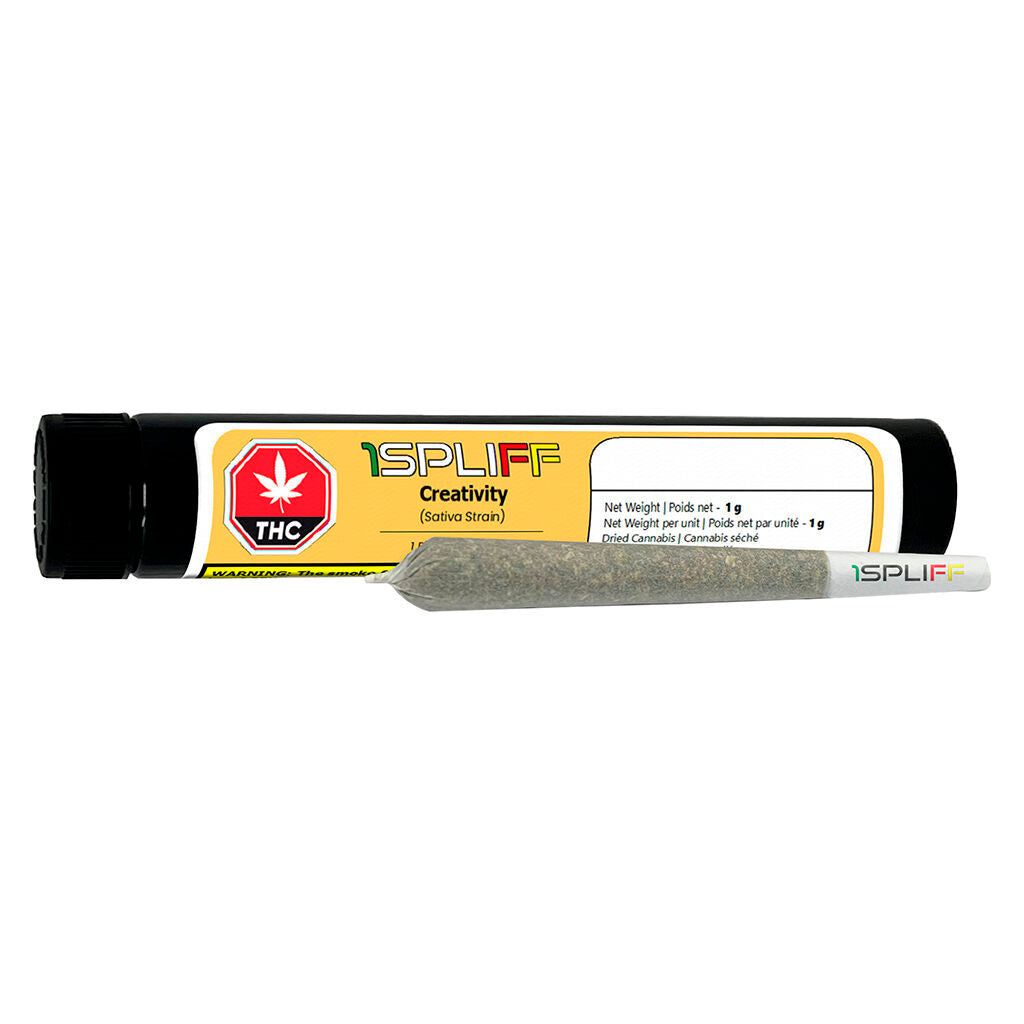 Creativity Pre-Roll - 