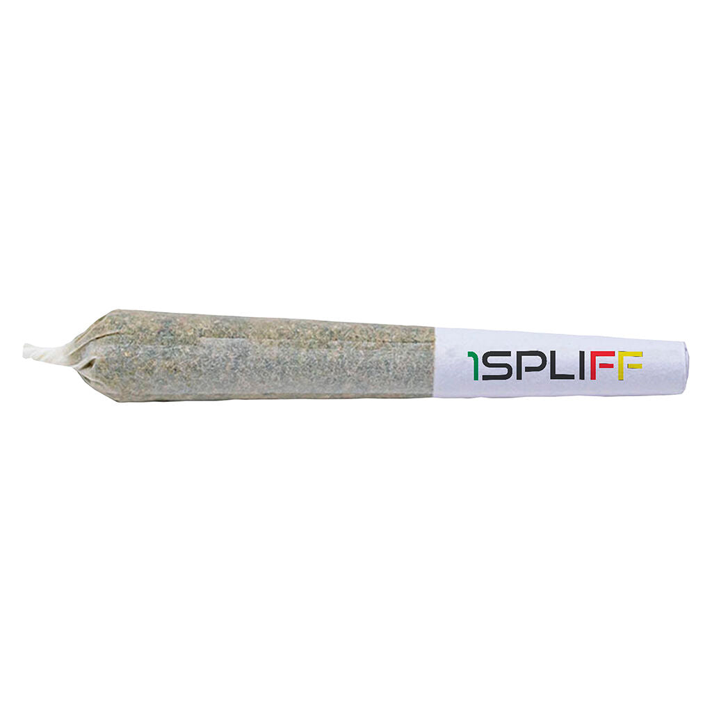 Orange Rntz Pre-Roll - 